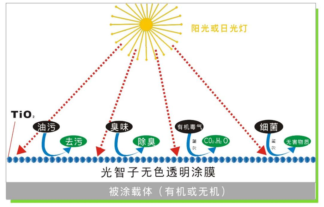 圖片2.png